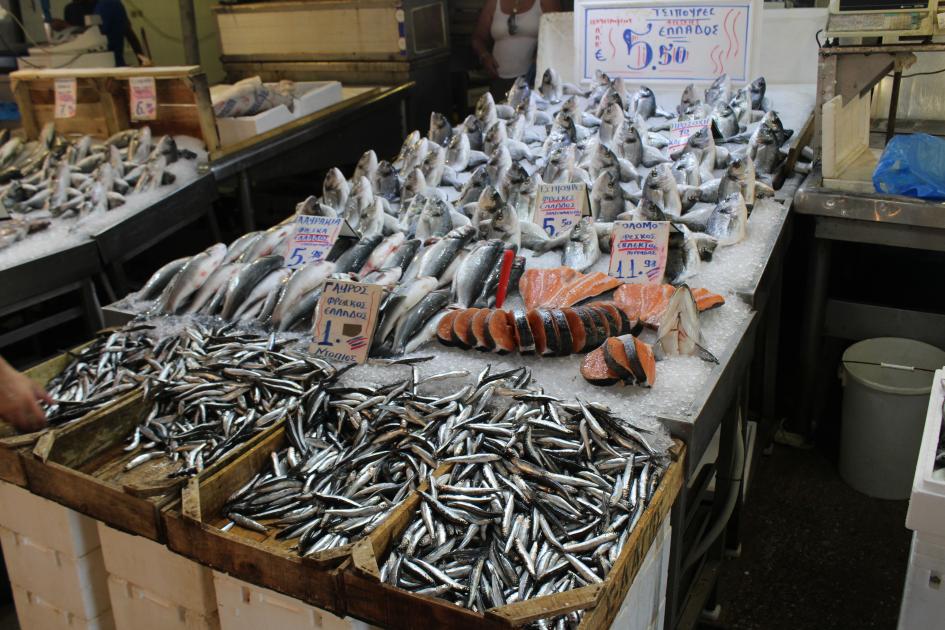 Take our seafood quiz and test your knowledge WWF